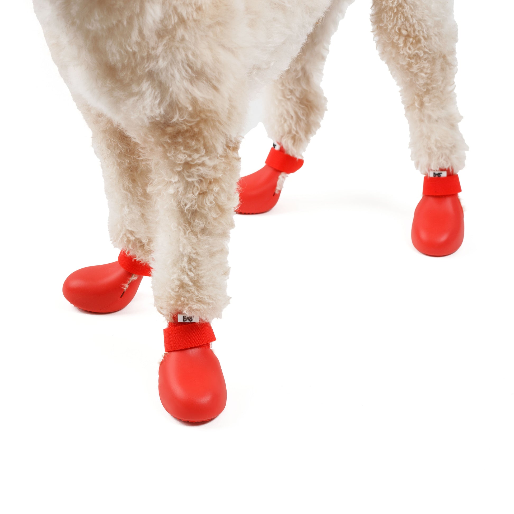 barksandscratches-sugecirmez-kopek-ayakkabisi-kirmizi-kopek-zoom.jpg