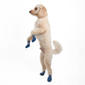 barksandscratches-sugecirmez-kopek-ayakkabisi-lacivert-kopek-aktif.jpg