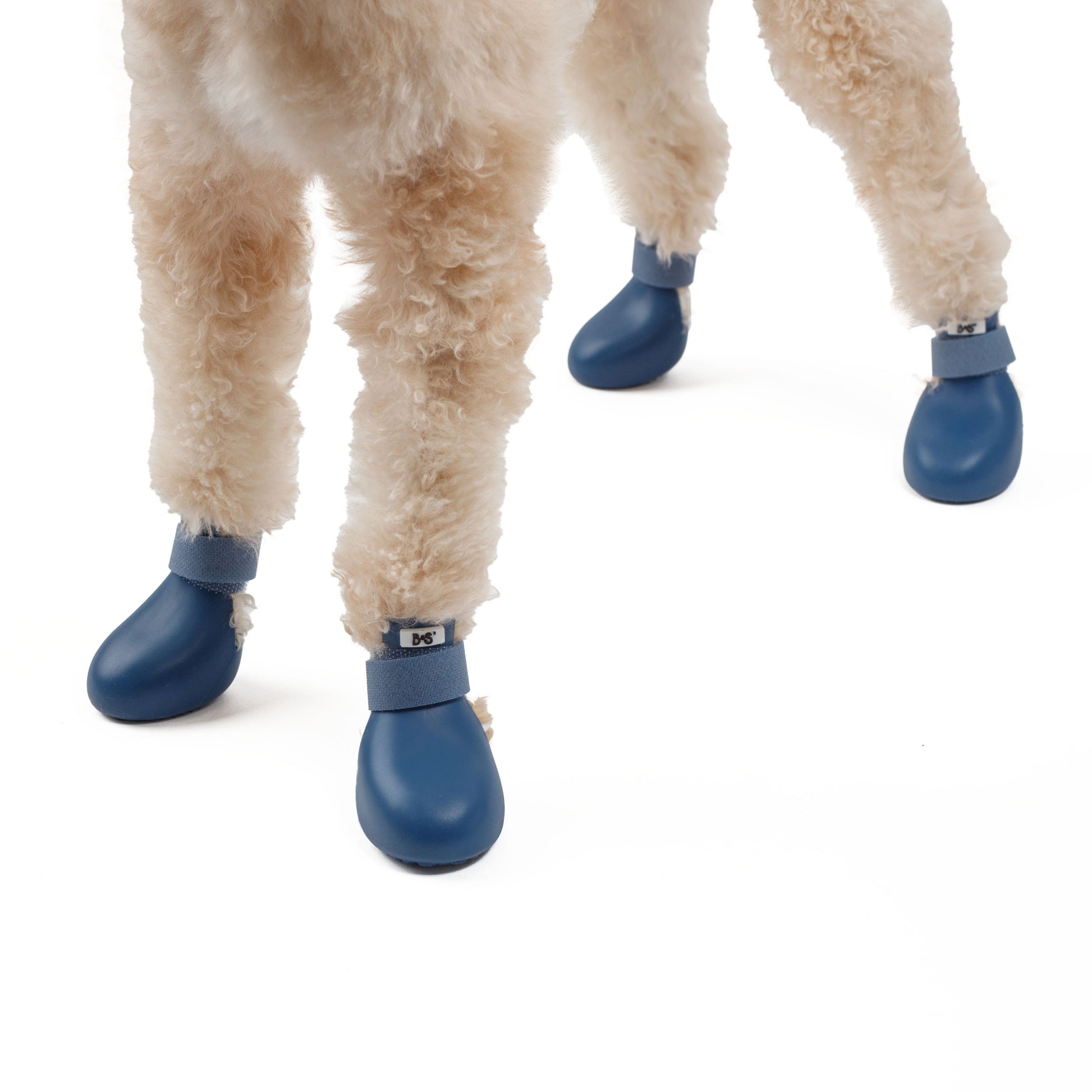 barksandscratches-sugecirmez-kopek-ayakkabisi-lacivert-kopek-zoom.jpg