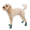 c544cf4f-864c-4e9b-b347-dcc40303ce0b/barksandscratches-sugecirmez-kopek-ayakkabisi-yesil-kopek-4patiuzerinde.jpg.JPG