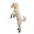 a481521d-1ca8-4653-9cd5-b35a113c8b44/barksandscratches-sugecirmez-kopek-ayakkabisi-yesil-kopek-aktif.jpg.JPG