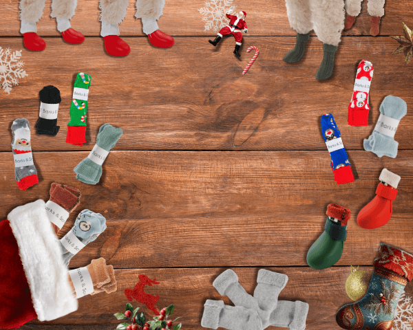 kopek_corabi-kopek corabi_barksandscratches-homepagecarousel_fnl