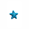 0f7c236d-c69c-43b0-96db-9945df19626c/barks_scratches_yazlik_kopek_ayakkabisi_tokasi_deniz_yildizi.png