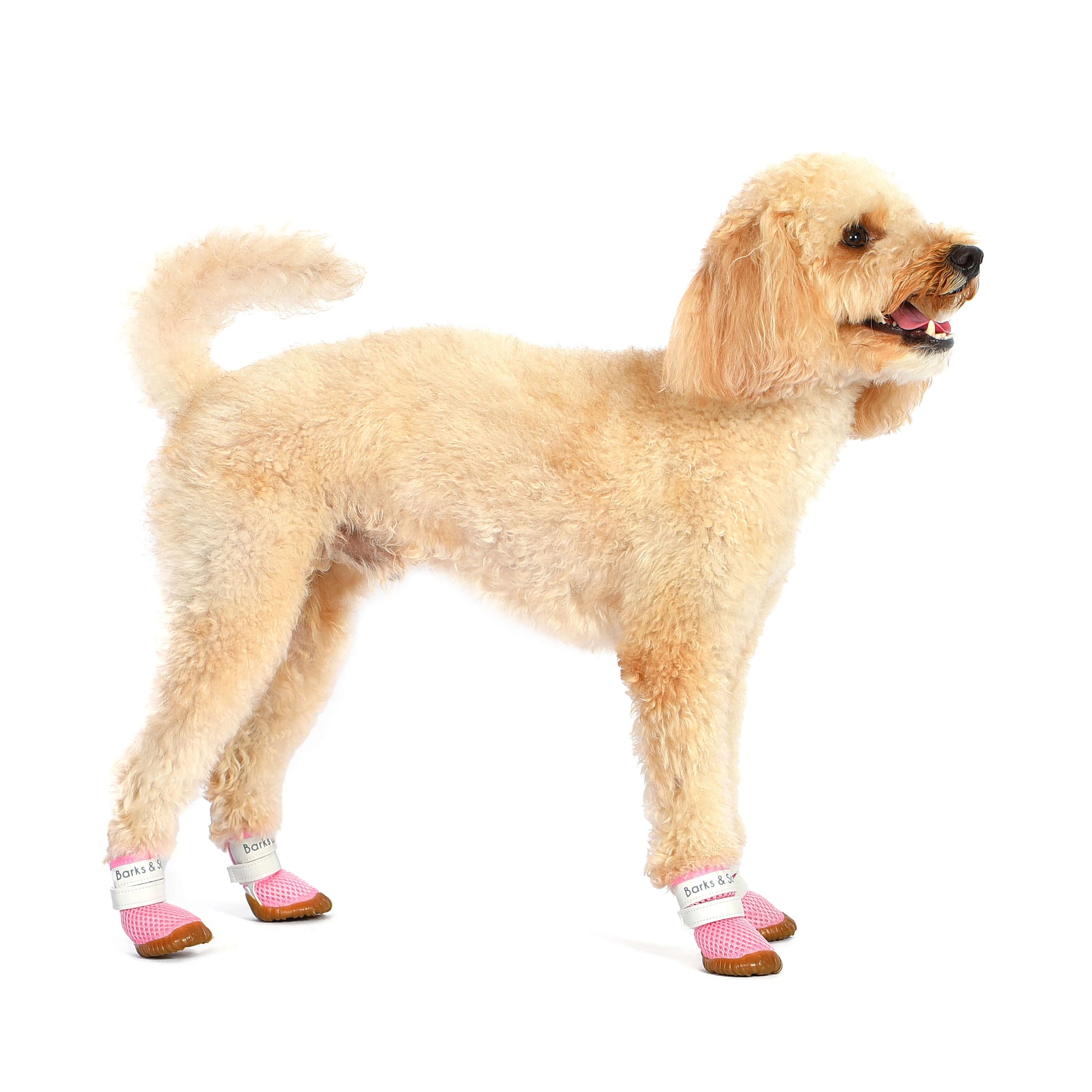 d2c009d2-cffe-4de4-9ea1-7e0fa47515e6/barksandscratches-baharlik-kopek-ayakkabisi-pembe-coverkopek.jpg