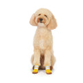fe0acf22-ddc7-4061-856d-78fd49358141/barksandscratches-baharlik-kopek-ayakkabisi-sari-coverkopek2.jpg