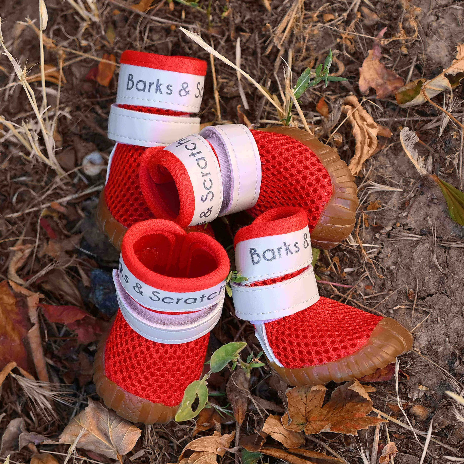 barks and scratches baharlik spor kopek ayakkabisi pisi pisi otu