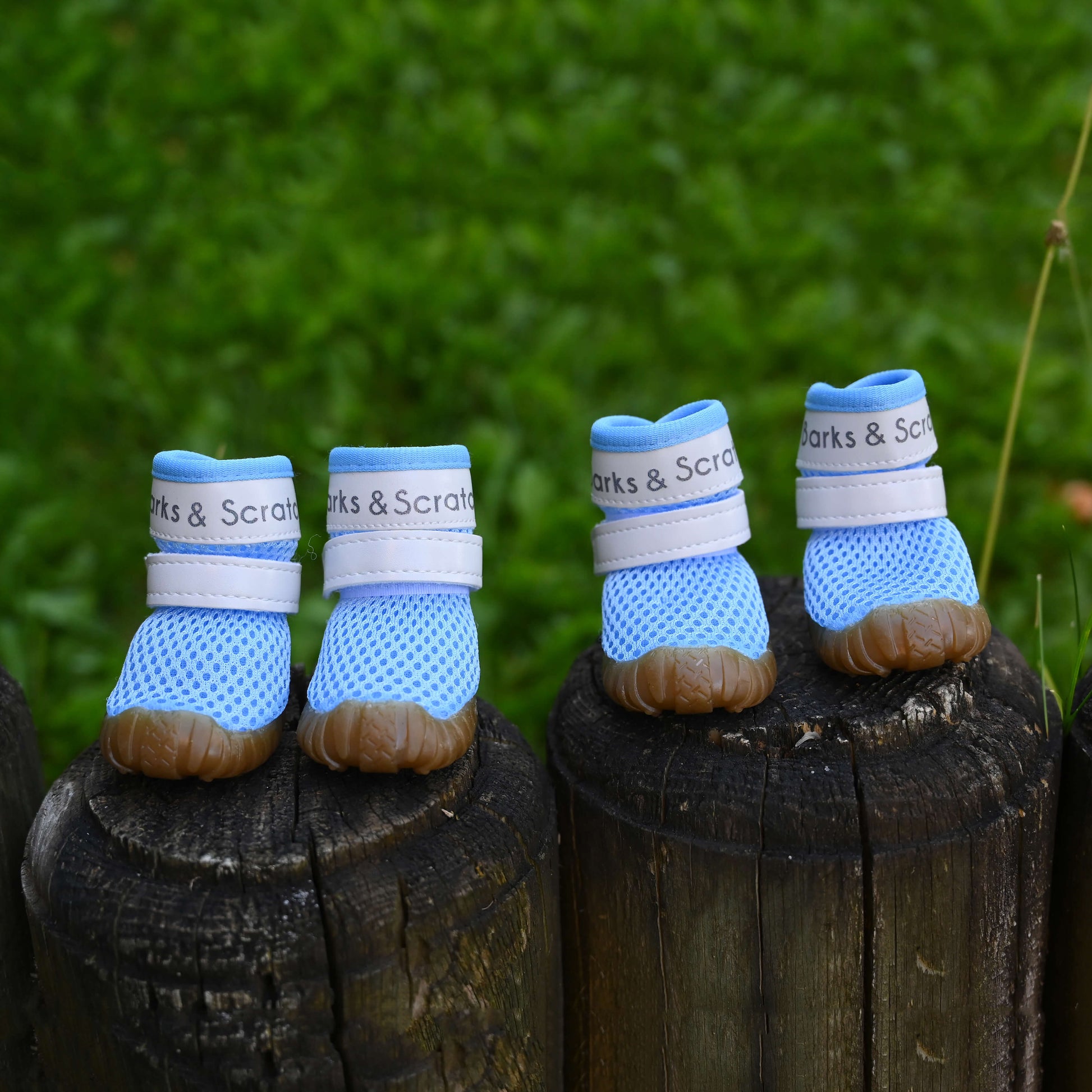 barks and scratches baharlık spor köpek ayakkabısı