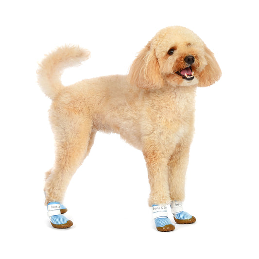 barks and scratches baharlık spor köpek ayakkabısı