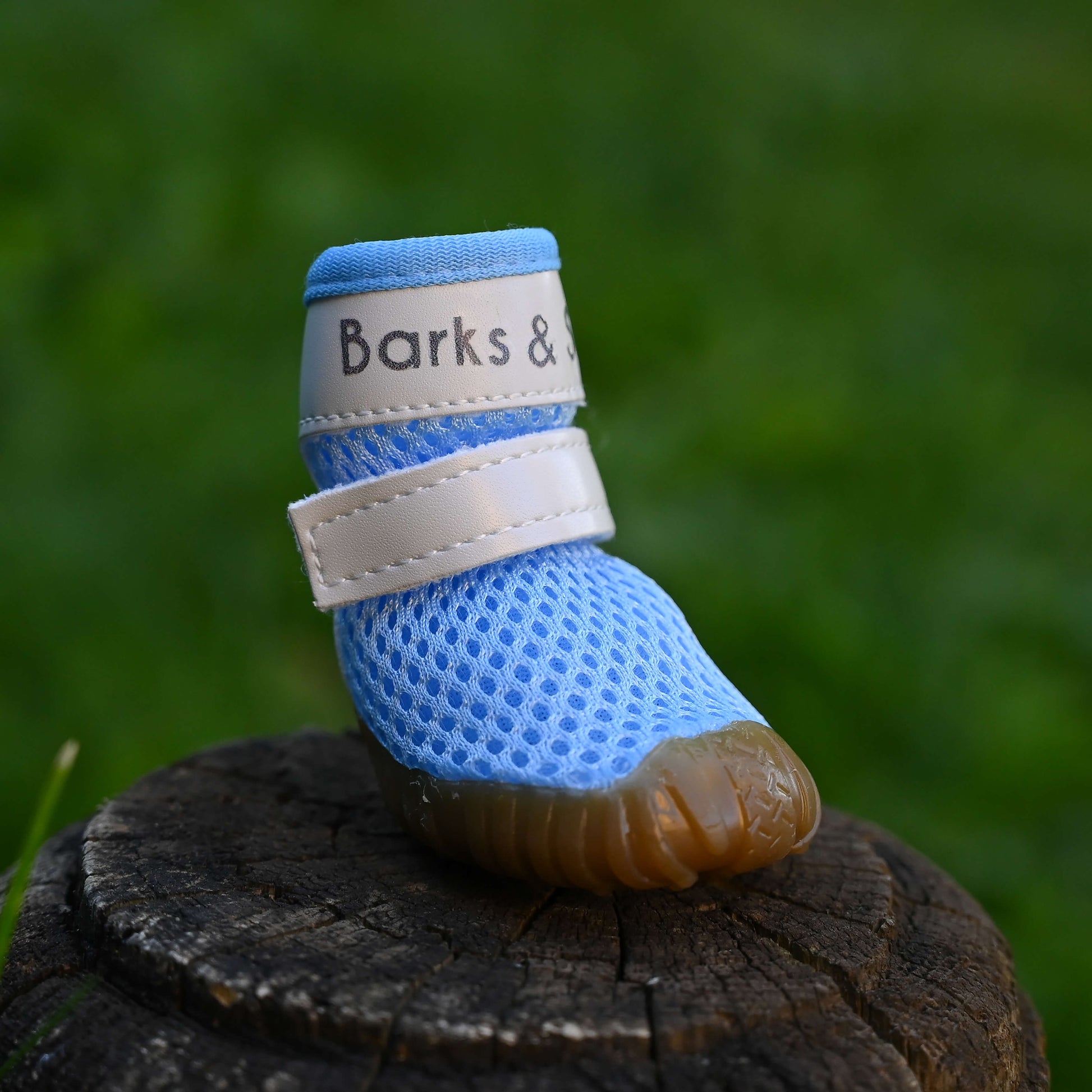 barks and scratches baharlık spor köpek ayakkabısı