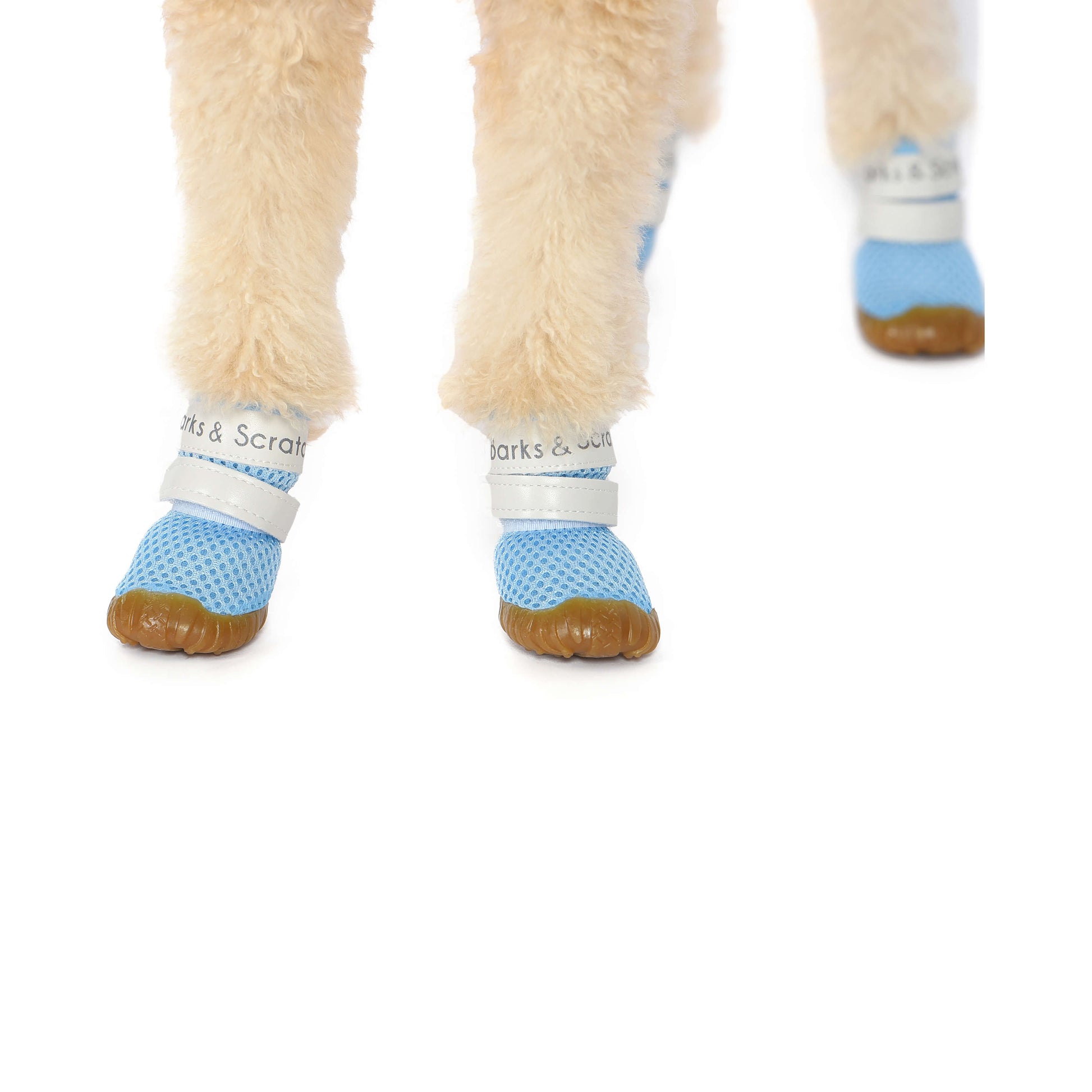 barks and scratches baharlık spor köpek ayakkabısı