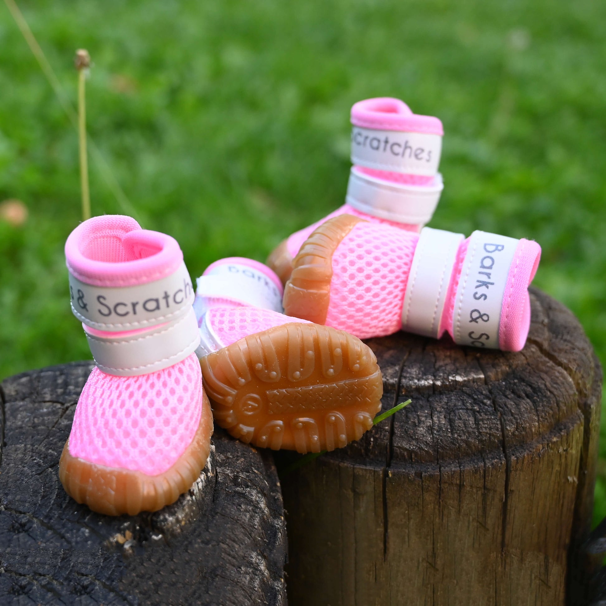 barks and scratches baharlık spor köpek ayakkabısı