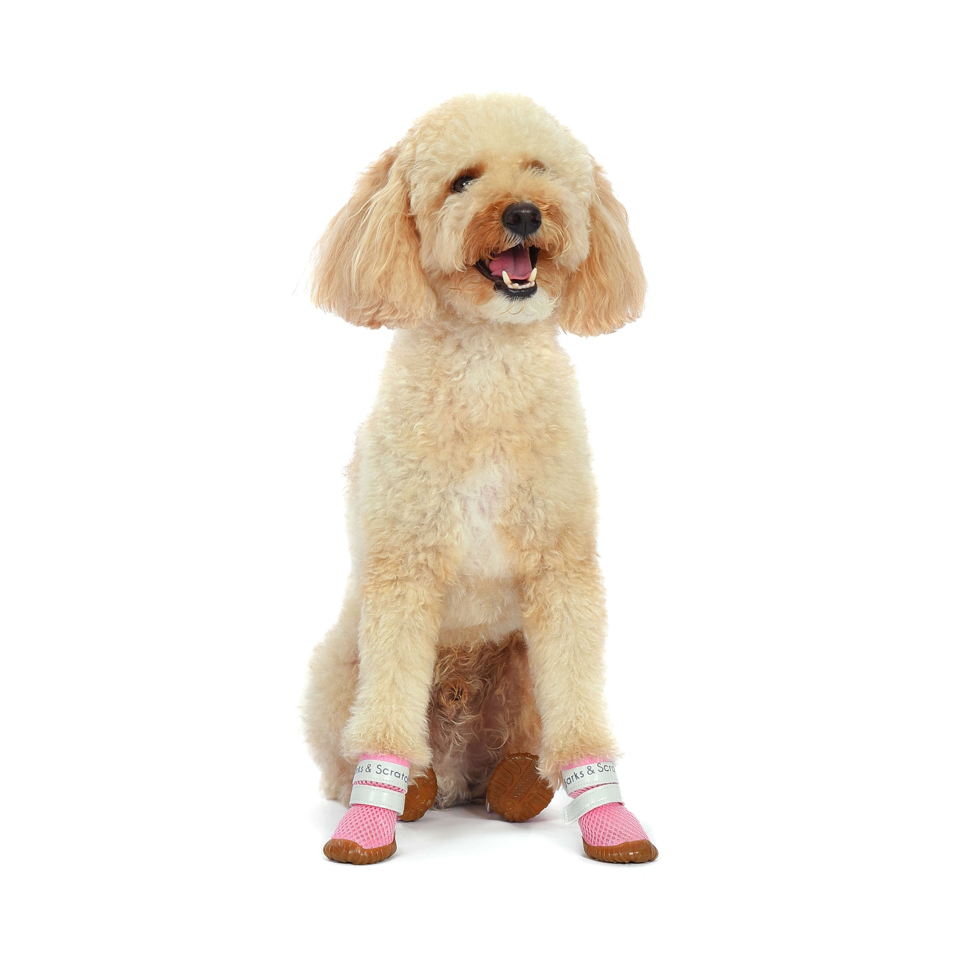 barks and scratches baharlık spor köpek ayakkabısı