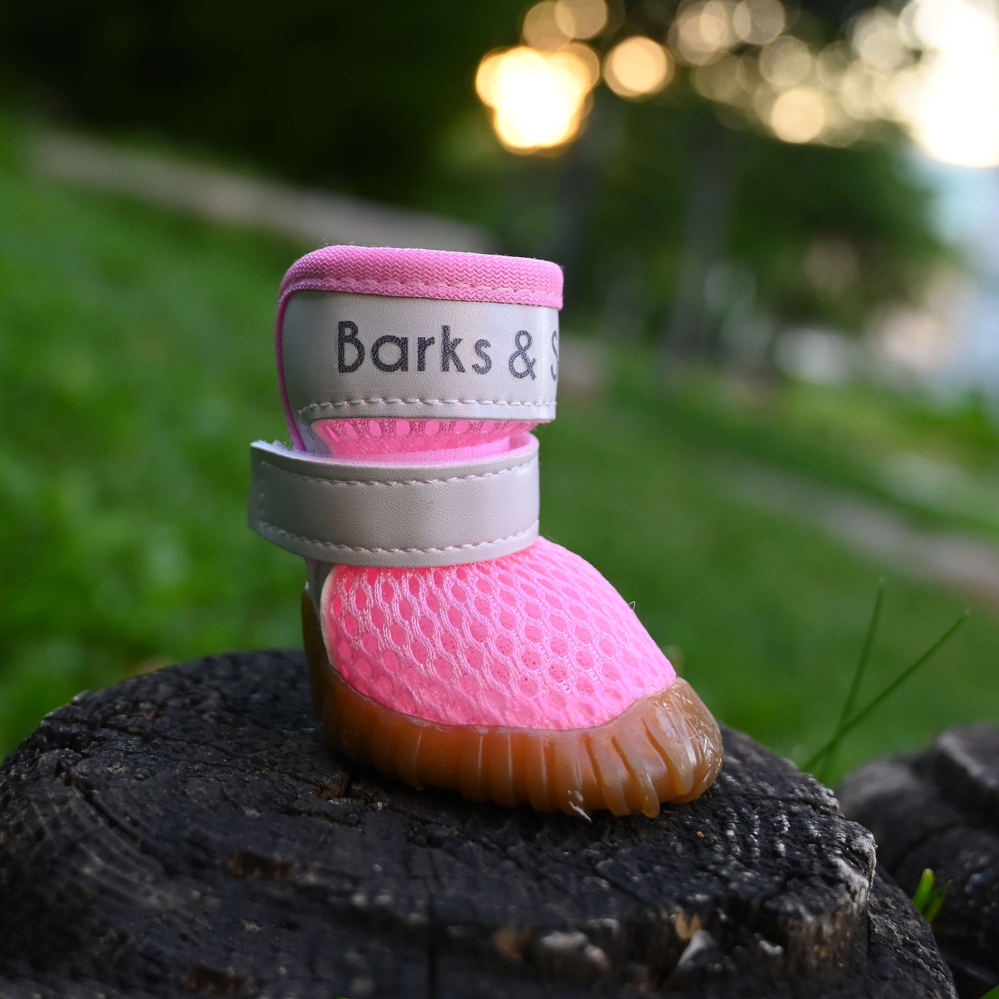 barks and scratches baharlık spor köpek ayakkabısı