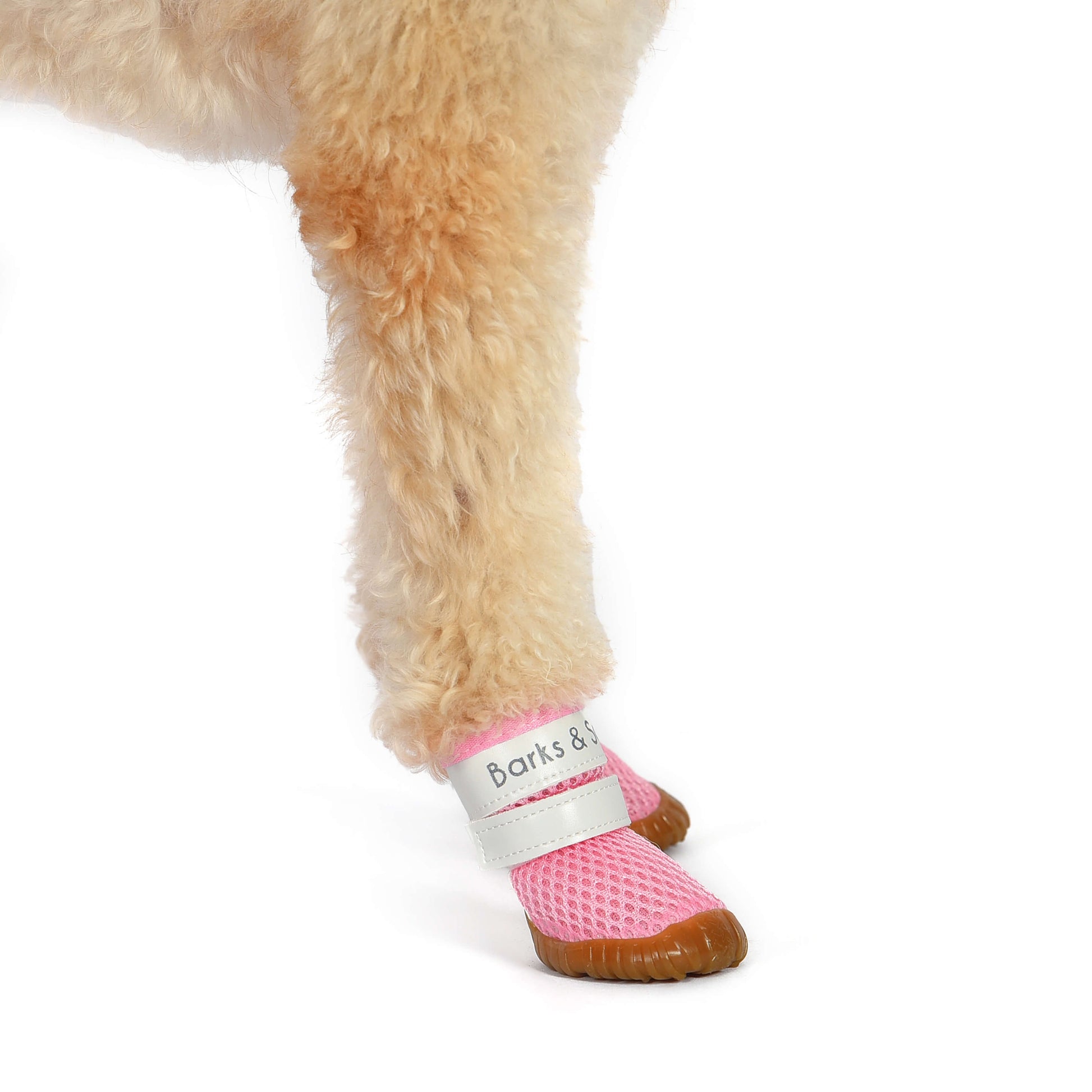 barks and scratches baharlık spor köpek ayakkabısı