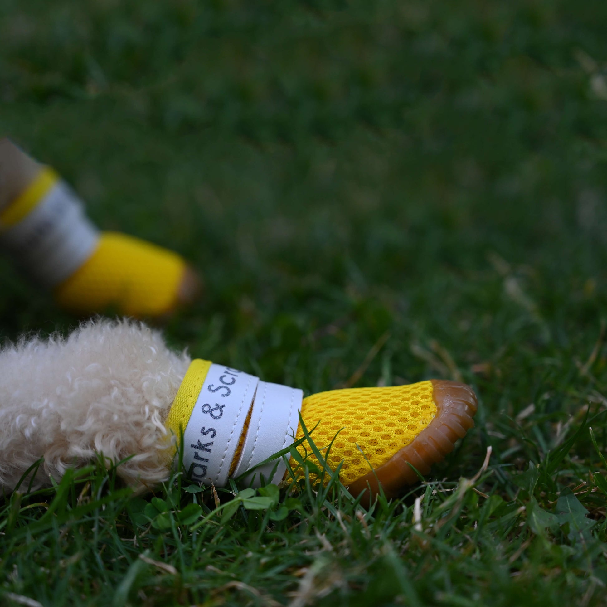 barks and scratches baharlik spor kopek ayakkabisi