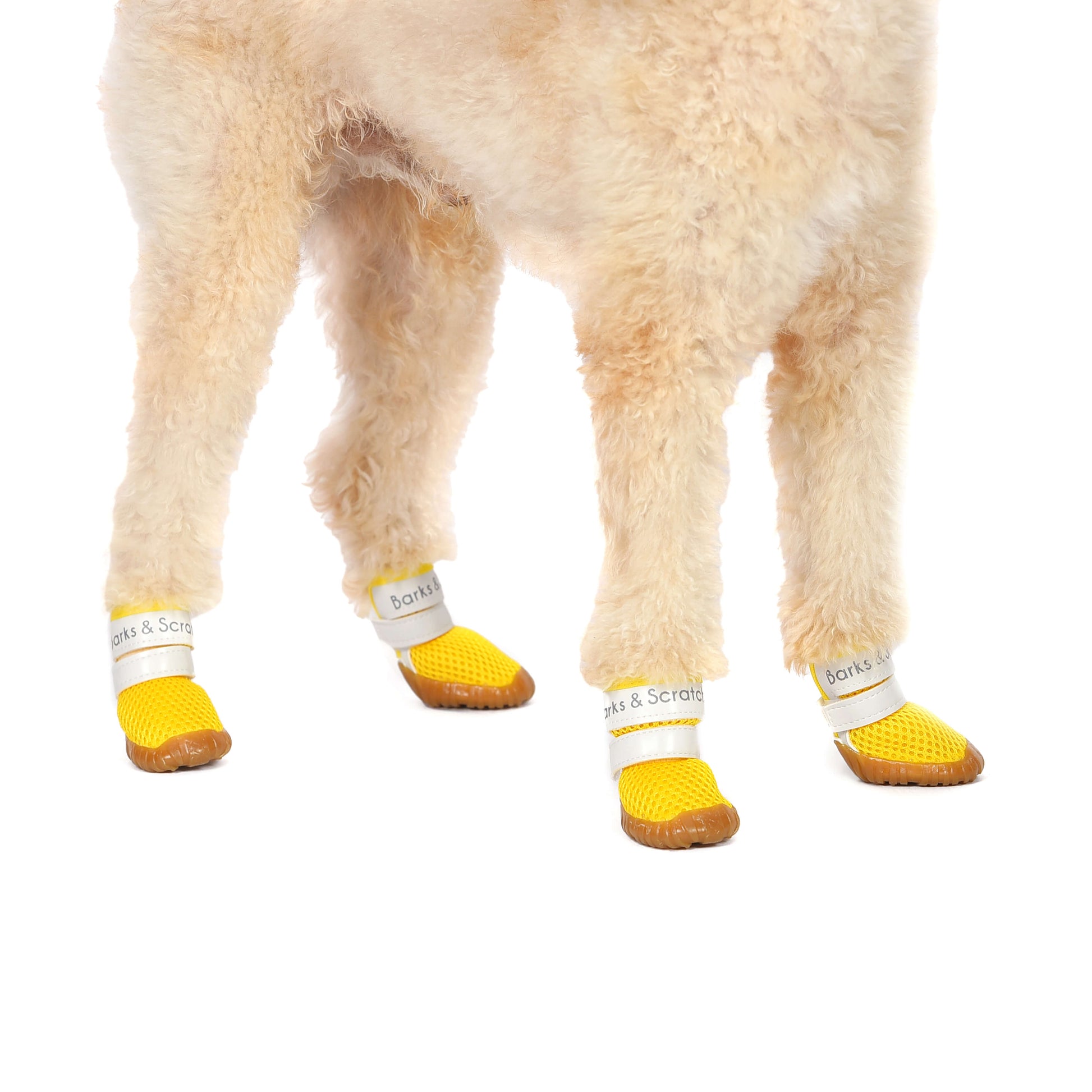 barks and scratches baharlik spor kopek ayakkabisi