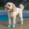 6b3234c0-f752-4a72-afbd-d7d98d226b0d/barksandscratches-delikli-yazlik-kopek-ayakkabisi-mavi-lifestyle-kopek-tokali.jpg