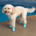 d1c986f8-0f91-4bcd-9c1f-91d2c9bc8f43/barksandscratches-delikli-yazlik-kopek-ayakkabisi-mavi-lifestyle-kopek.jpg