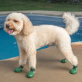 16aab955-c8be-4a36-a9e3-6b2f6f0f7f18/barksandscratches-delikli-yazlik-kopek-ayakkabisi-yesil-lifestyle-kopek.jpg