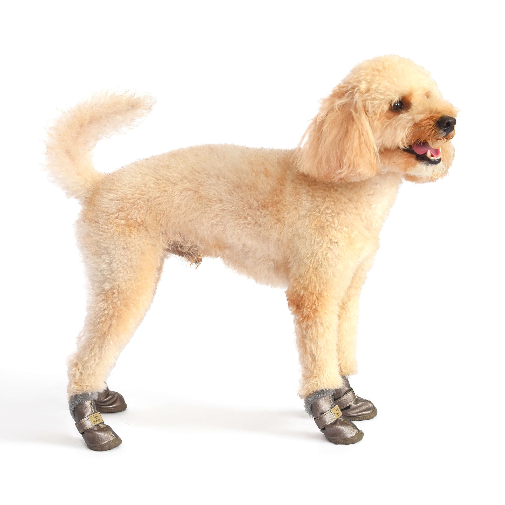 7a83f0c8-f602-45cd-9e93-51fb31224692/barksandscratches-kislik-kopek-ayakkabisi-gumusgri-coverkopek.jpg.jpg