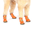 b6479551-7140-424b-9744-b687e99fa521/barksandscratches-kislik-kopek-ayakkabisi-turuncu-zoomkopek.jpg.jpg