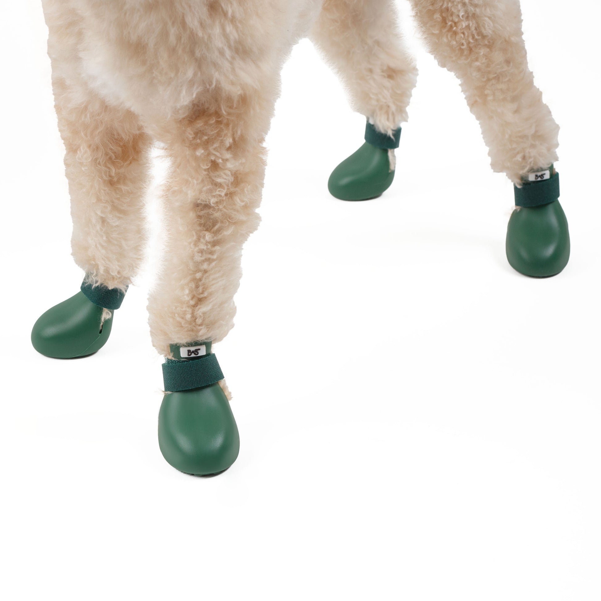 barksandscratches-sugecirmez-kopek-ayakkabisi-yesil-kopek-zoom.jpg