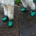 6a0f2adf-0c55-4760-96c6-23901fb1feb6/barksandscratches-sugecirmez-kopek-ayakkabisi-yesil-kopekli-zoom-lifestyle.jpg