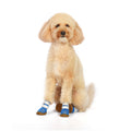 a28994b7-f2c3-4e1b-8b84-70d84833494e/barksandscratches-yazlik-kopek-ayakkabisi-mavi-coverkopek.jpg