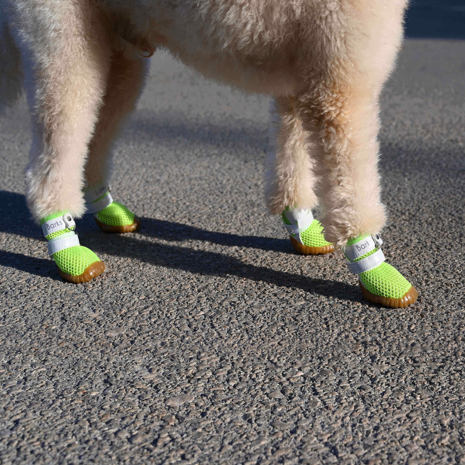 barks and scratches terletmeyen file yazlık köpek ayakkabısı pisipisi otu sıcak zeminden pati yanmasına karşı korur