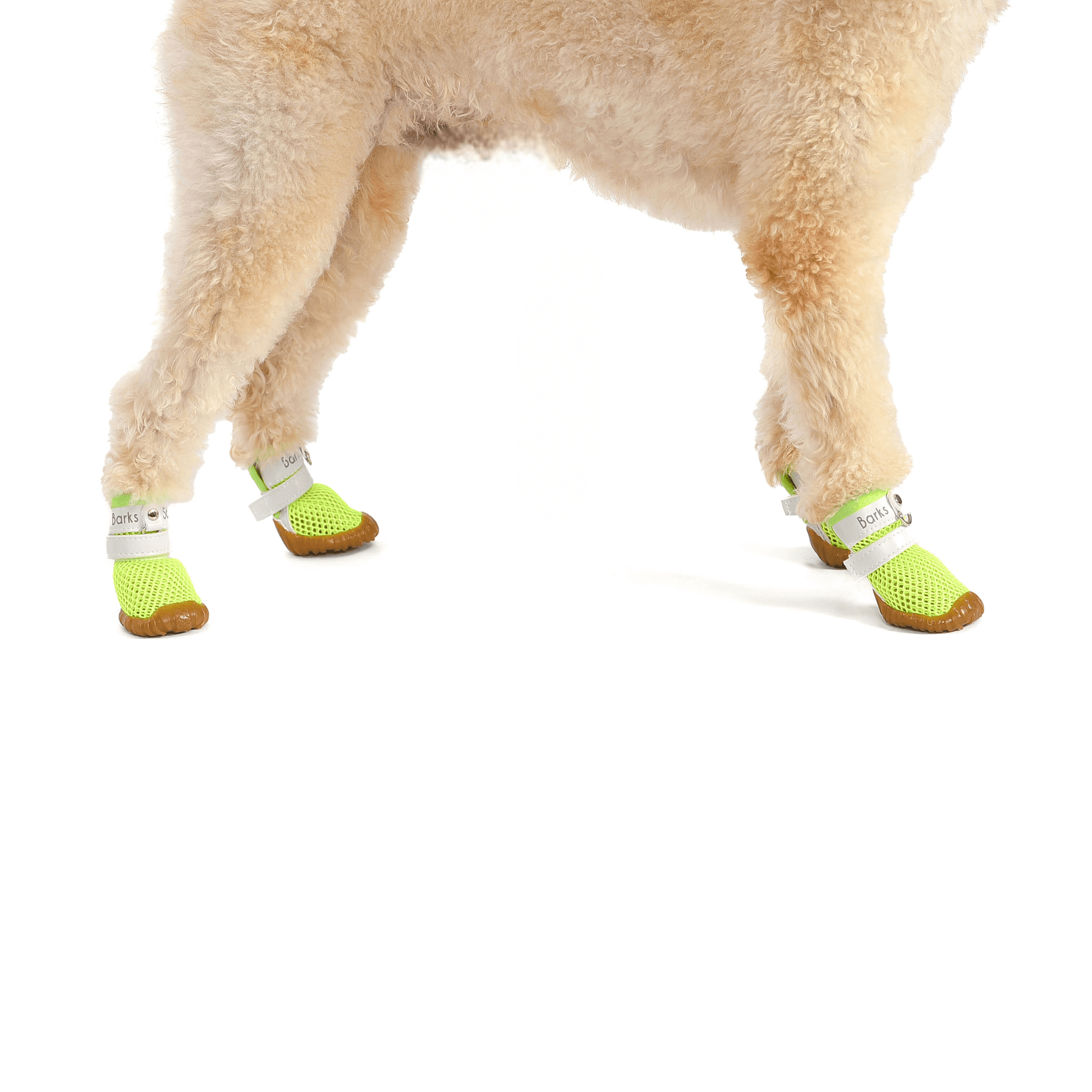 c04d3385-e884-4647-8c6c-106f1c299317/barksandscratches-yazlik-kopek-ayakkabisi-neonyesil-zoomkopek2patiler.jpg_1.png
