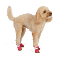 ab2365ab-6193-43d7-9794-41b94e9b2332/barksandscratches-yazlik-kopek-ayakkabisi-pembe-coverkopek2cln.png