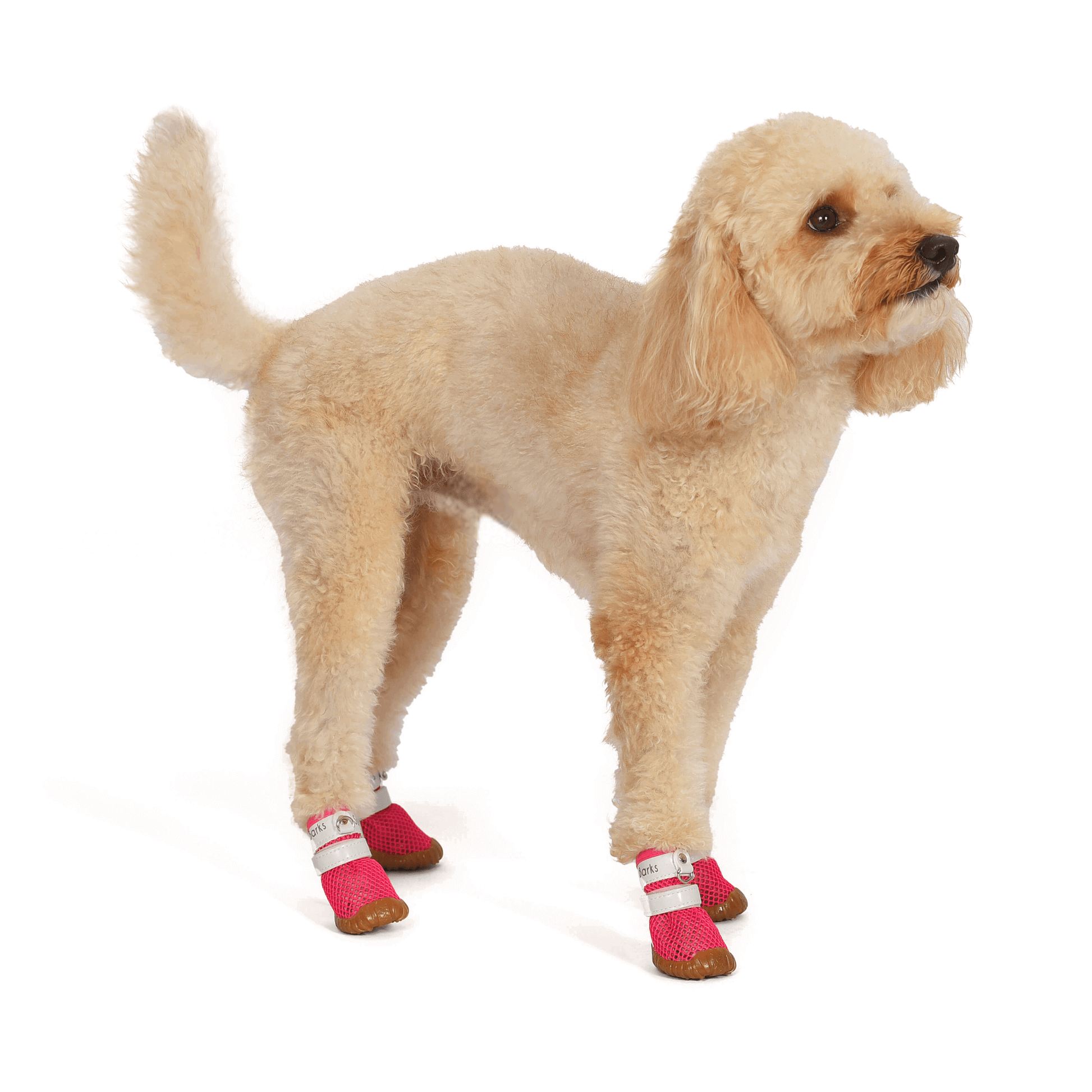 ab2365ab-6193-43d7-9794-41b94e9b2332/barksandscratches-yazlik-kopek-ayakkabisi-pembe-coverkopek2cln.png