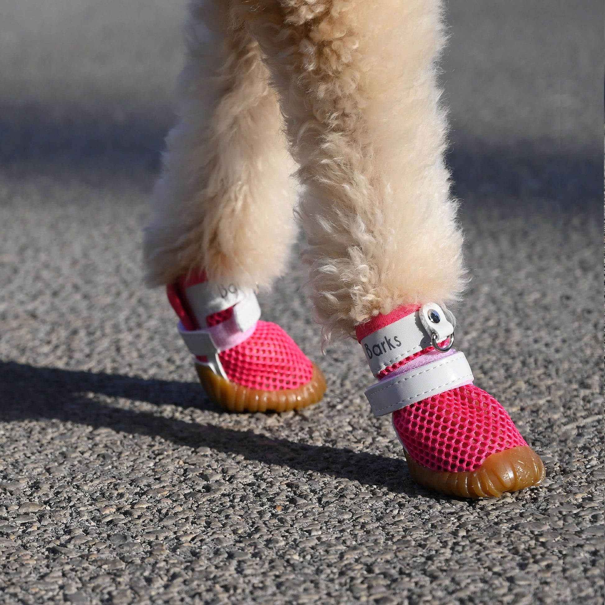 4e28ee14-b8c8-42fa-90b4-544863a4d7aa/barksandscratches-yazlik-kopek-ayakkabisi-pembe-kopek-beton2.jpg