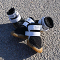 ac8237d9-3c47-46a1-99bb-bb9b42745f59/barksandscratches-yazlik-kopek-ayakkabisi-siyah-beton.jpg