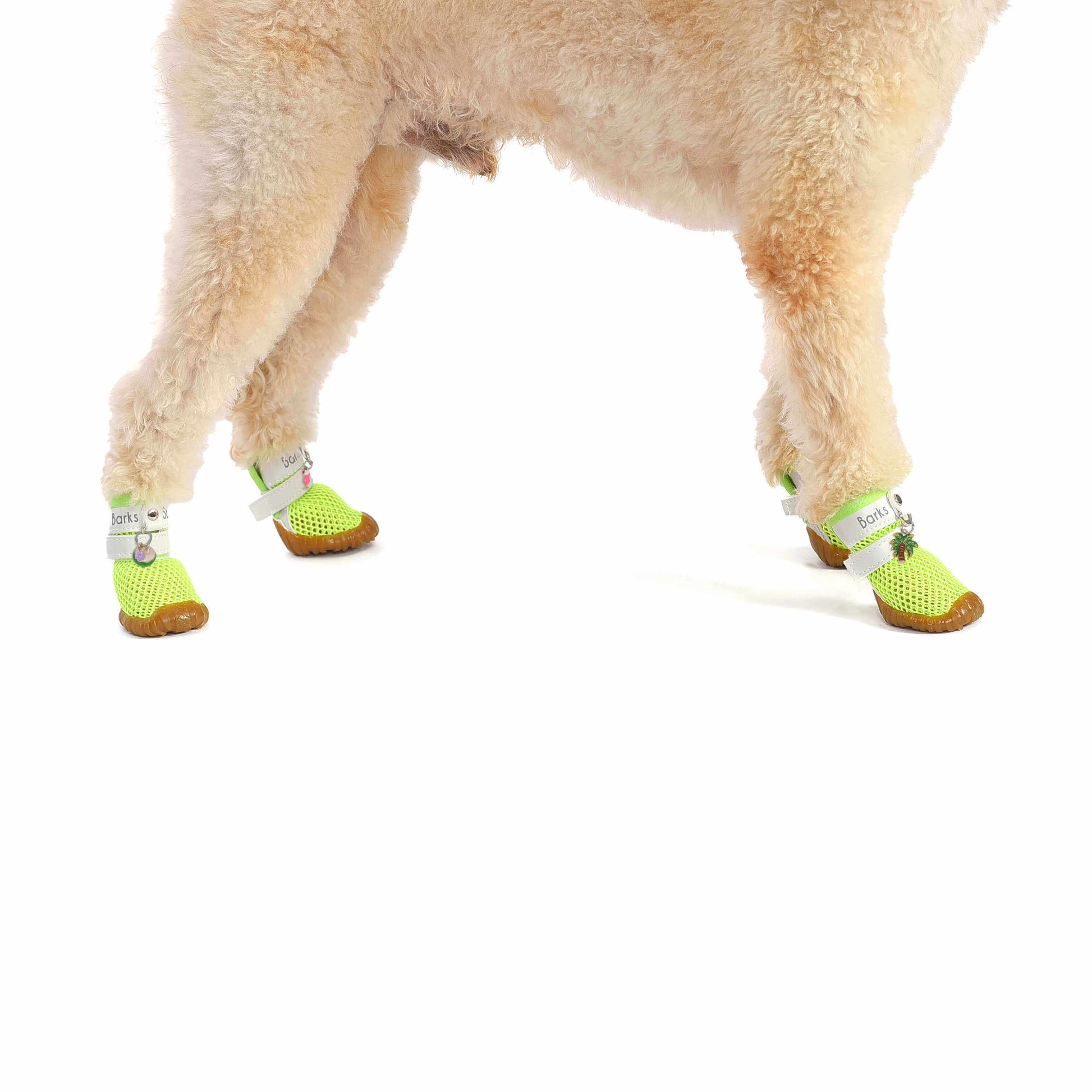 barks and scratches terletmeyen file yazlık köpek ayakkabısı pisipisi otu sıcak zeminden pati yanmasına karşı korur