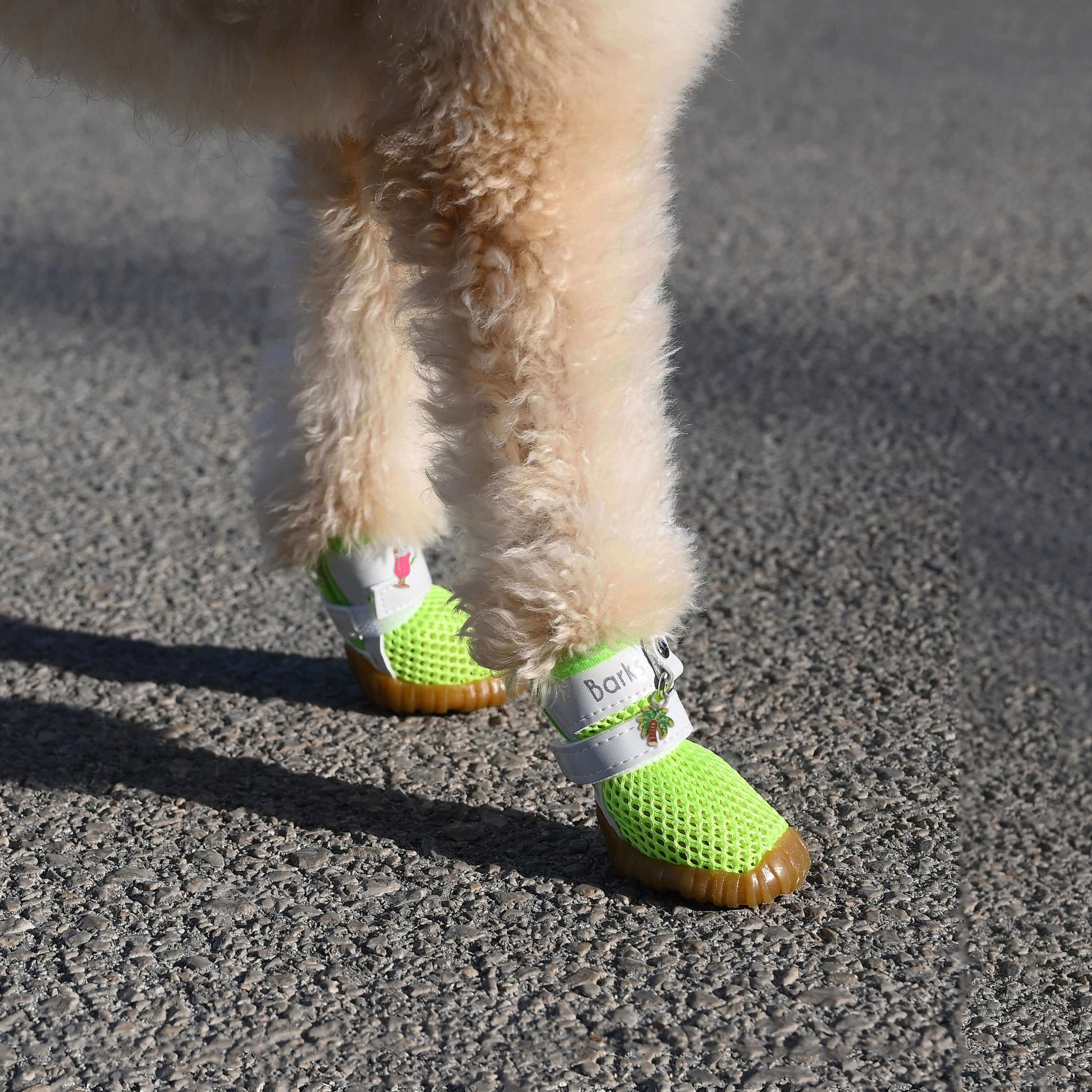 barks and scratches terletmeyen file yazlık köpek ayakkabısı pisipisi otu sıcak zeminden pati yanmasına karşı korur