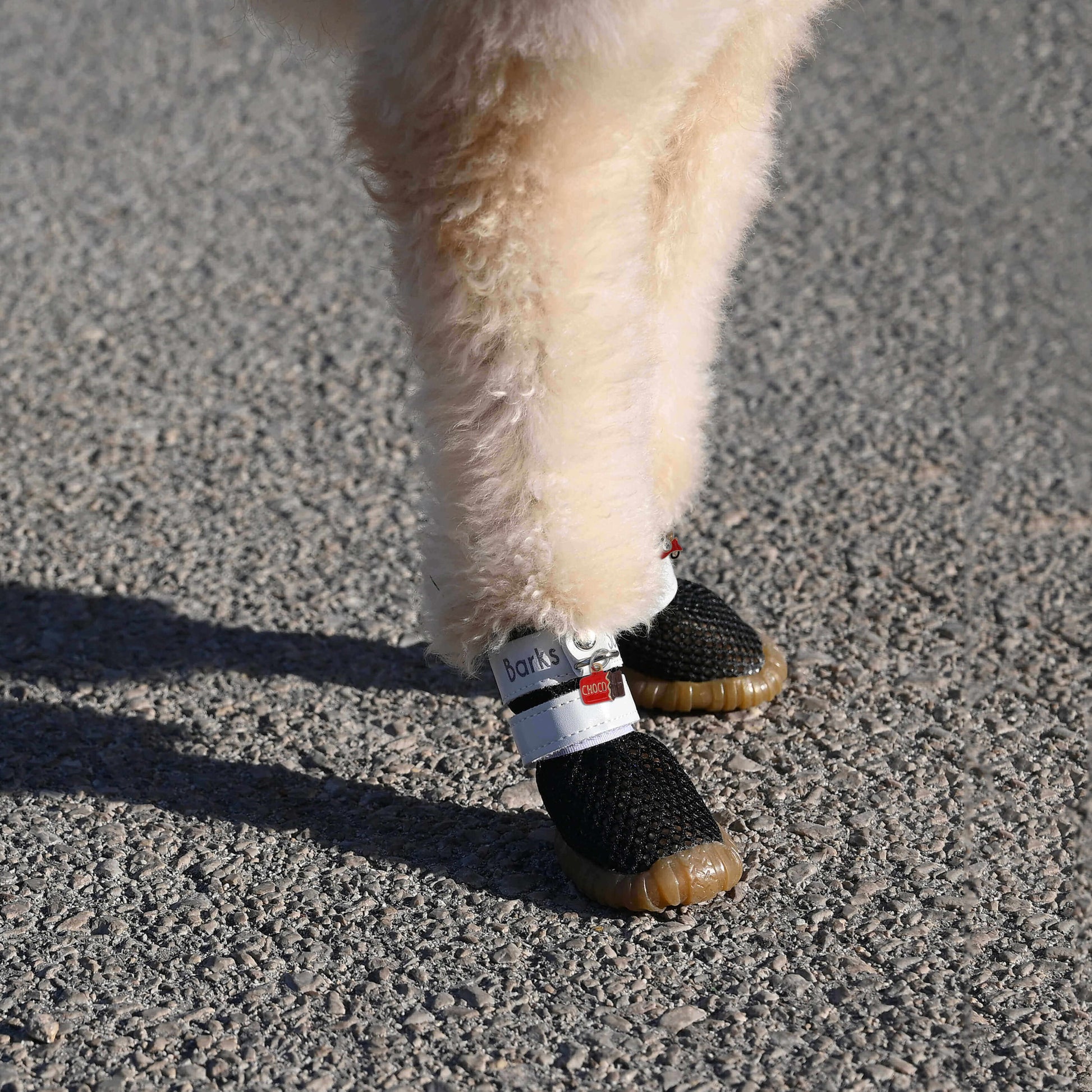 barks and scratches yazlık köpek ayakkabısı sıcak asfalt zeminden yanmaktan patileri korur