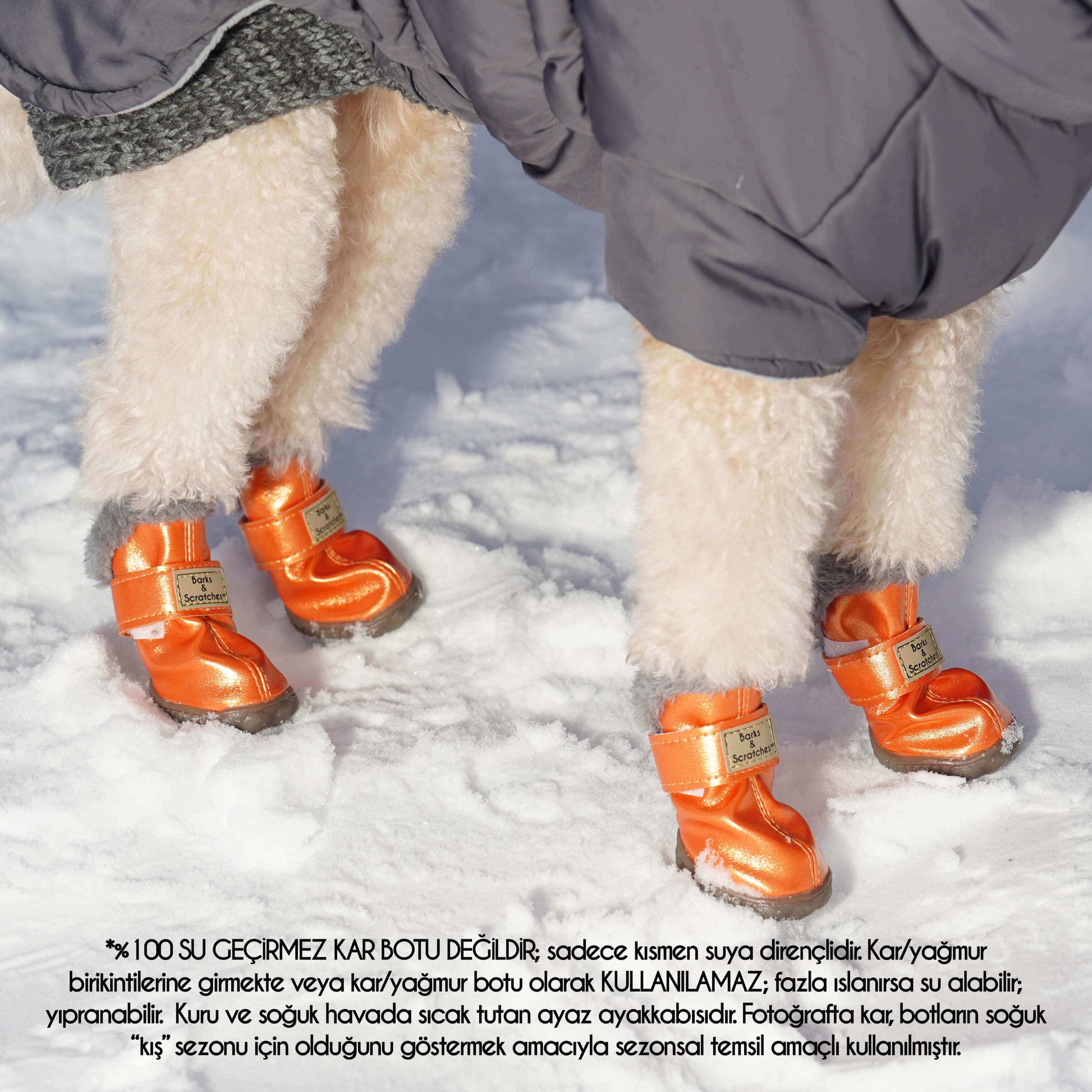 7a033b9d-bfa6-42bc-8d32-e00490026bf0/barksandscratches_kislik_kopek_ayakkabisi_turuncu_yakin.jpg