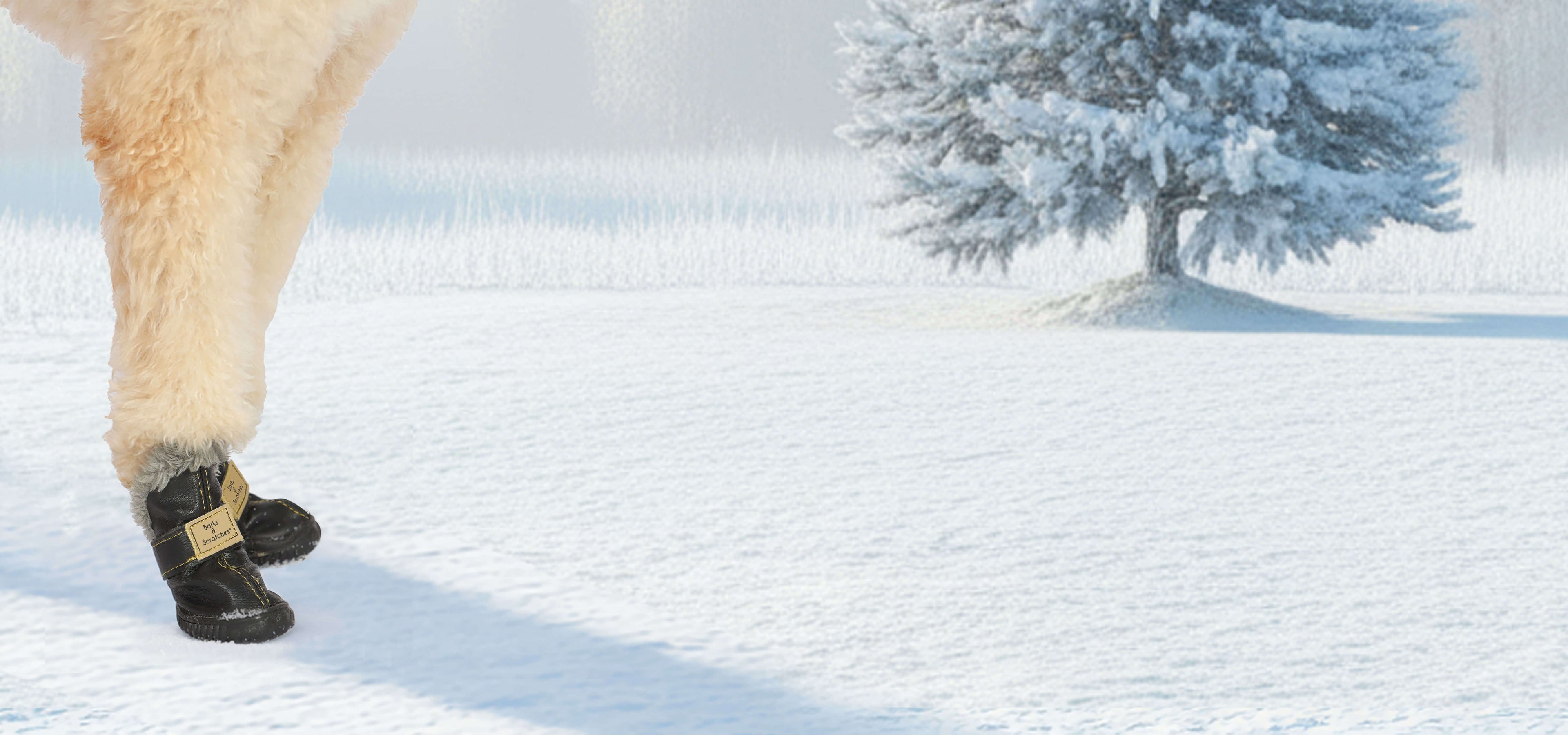 barksandscratches-kopekayakkabisi-kopek-kislik-kopek-ayakkabisi