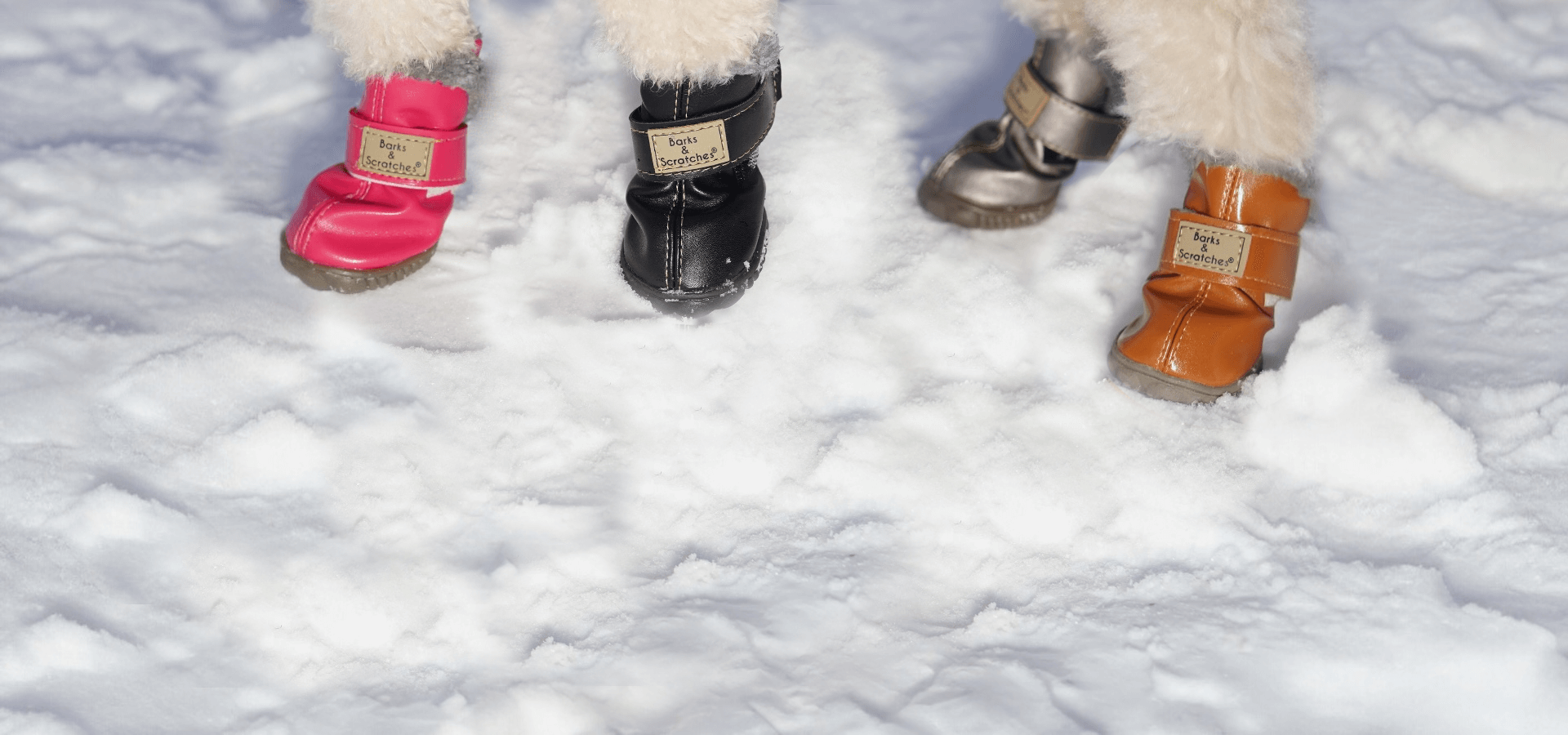 kislik_kopek_ayakkabisi_barksandscratches_hp_carousel_desktop-fnl1052-ss