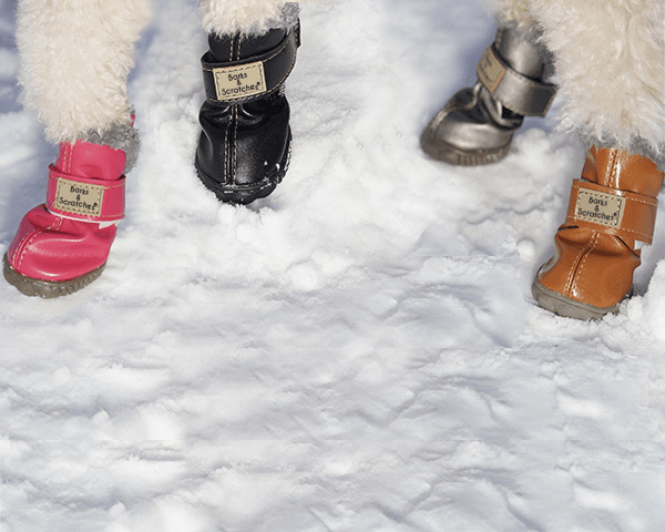 kislik_kopek_ayakkabisi_barksandscratches_hp_carousel_mobil__fnll1059-ss